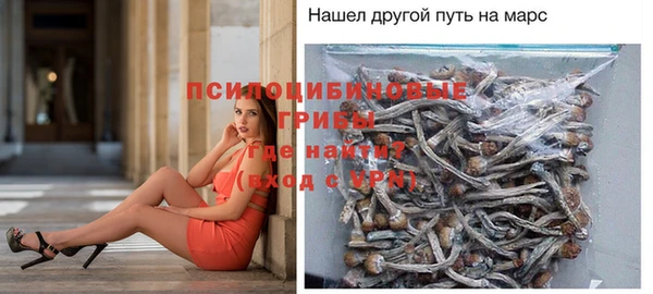гидропоника Абдулино